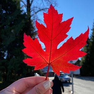 Meet your Posher, Ida